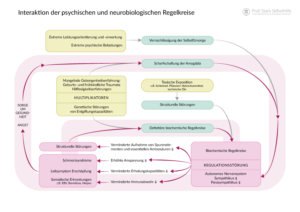 Interaktion der psychischen und neurobiologischen Regelkreise, Grafik 1